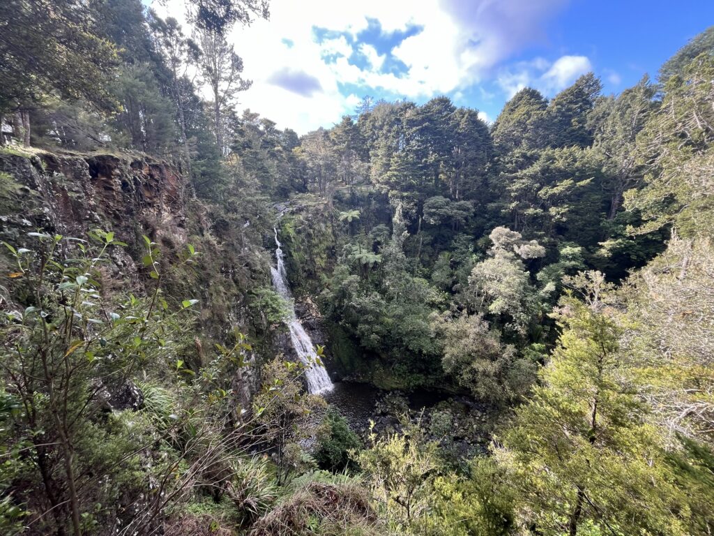 A. H. Reed Memorial Kauri Parkにある滝の様子