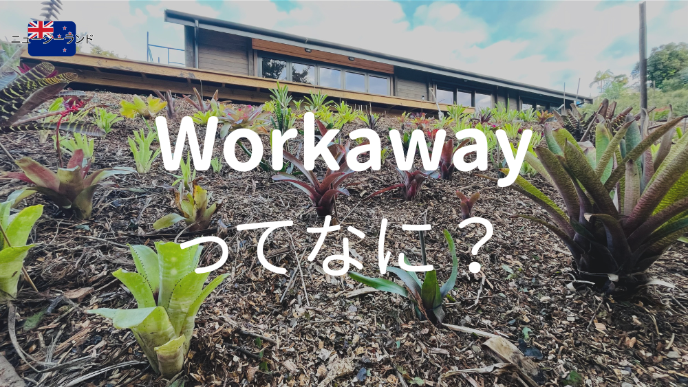 ニュージーランド、Workawayってなに？